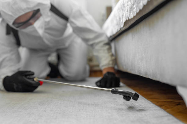 Professional Bed Bug Control technician working in Chamblee, GA